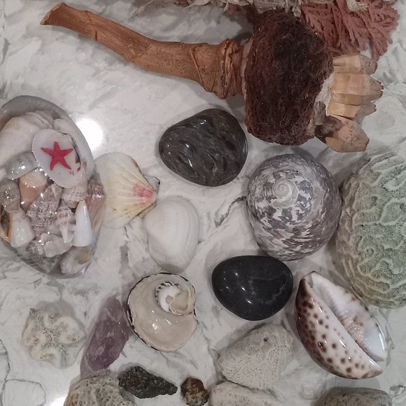 Decoration Home Special Design Including Authentic Smudging Sage - Picture 5 of 8